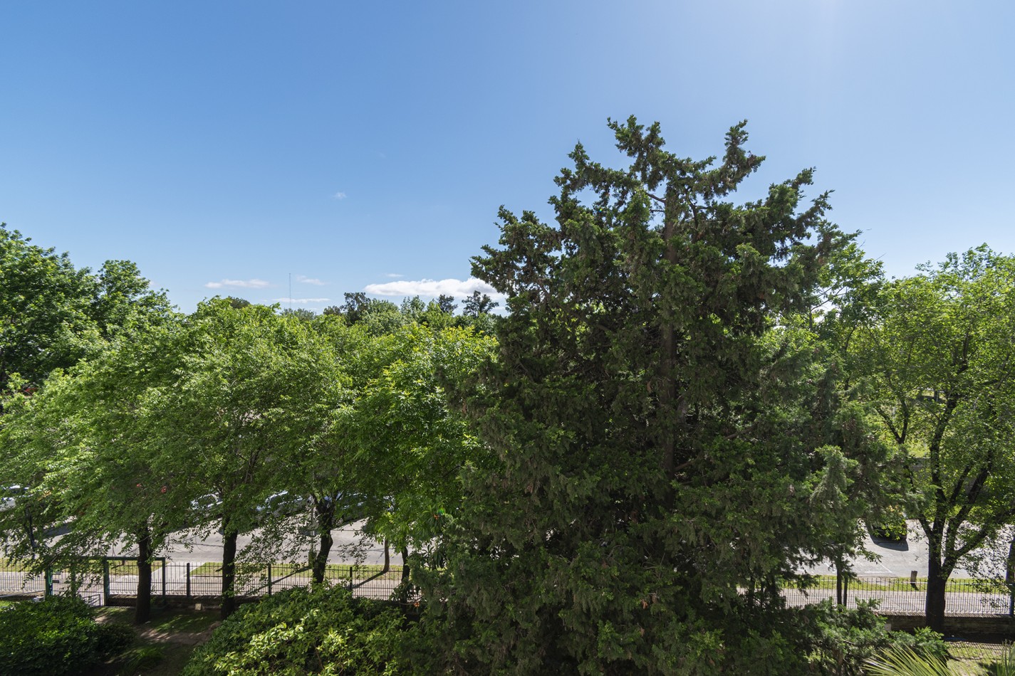 ALQUILER: DEPARTAMENTO DE 3 AMB - COMPLEJO DE WILDE