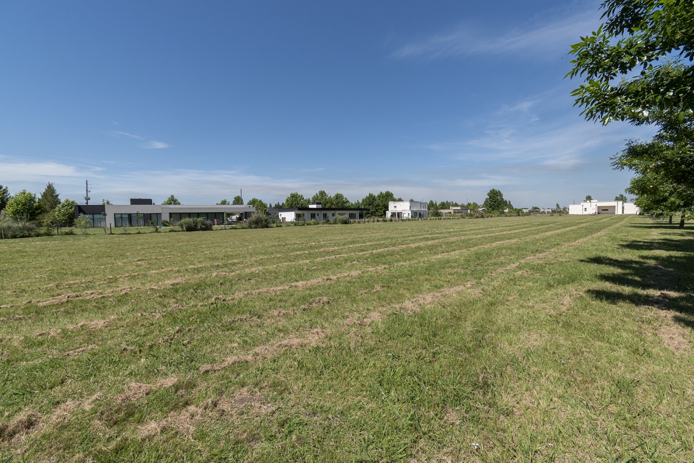 VENTA: LOTE- FINCAS DE SAN VICENTE SPORTING-2000mts