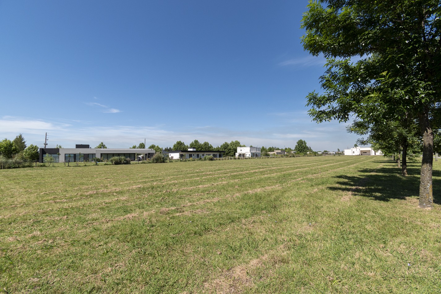 VENTA: LOTE- FINCAS DE SAN VICENTE SPORTING-2000mts